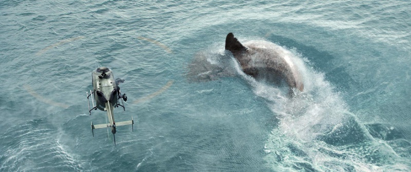 themeg_05.jpg themeg_05.jpg