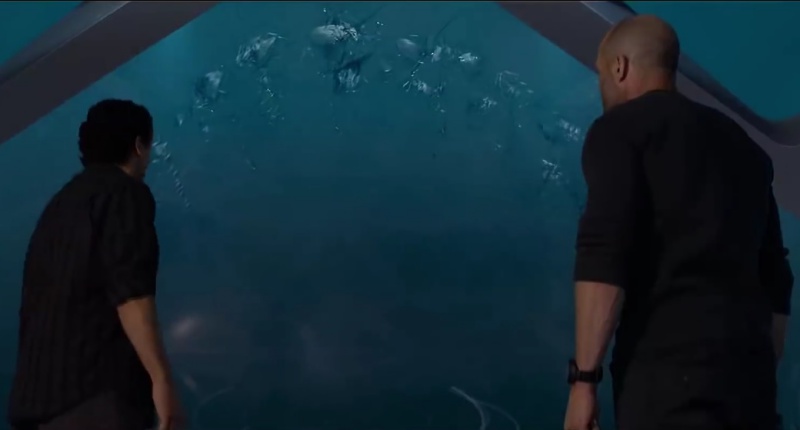themeg_04.jpg themeg_04.jpg