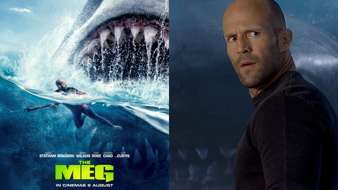 themeg_banner2.jpg