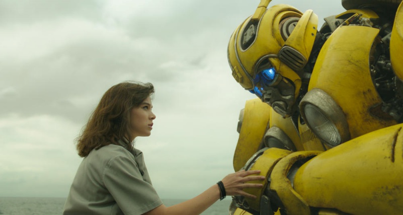 bumblebee_04.jpg bumblebee_04.jpg