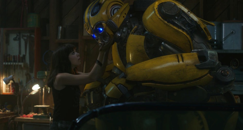 bumblebee_05.jpg bumblebee_05.jpg