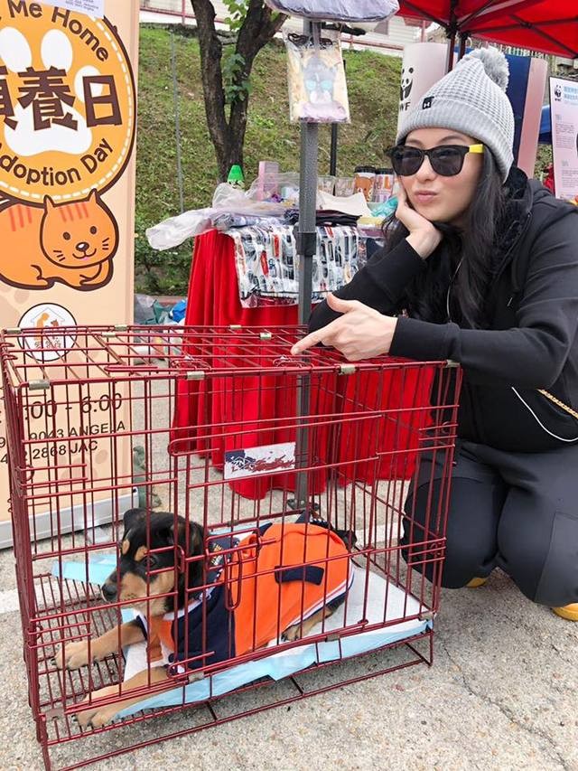 cecelia_03.jpg cecelia_03.jpg