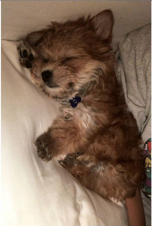 capture-20181223-120248.png capture-20181223-120248.png