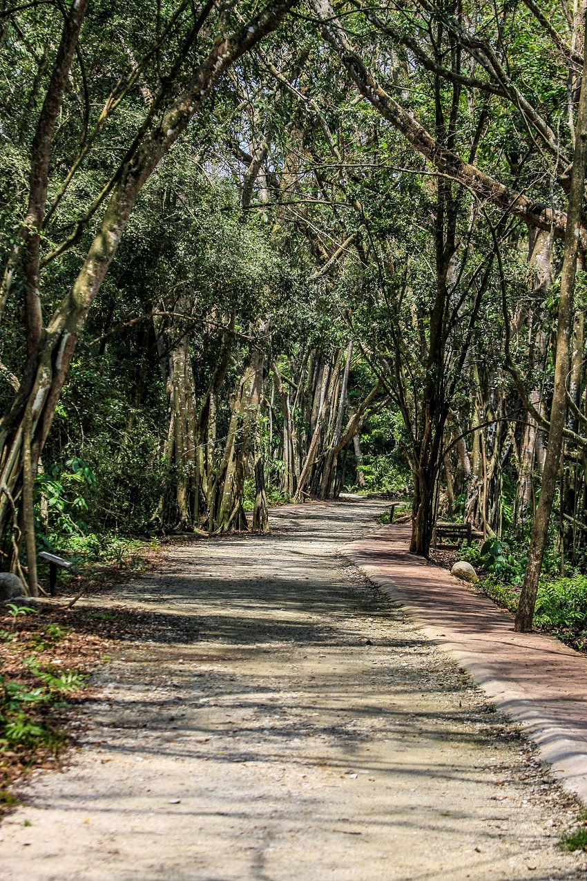 ta_35-mdks-official.jpg ta_35-mdks-official.jpg