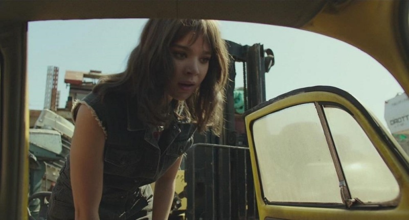 bumblebee_03.jpg bumblebee_03.jpg