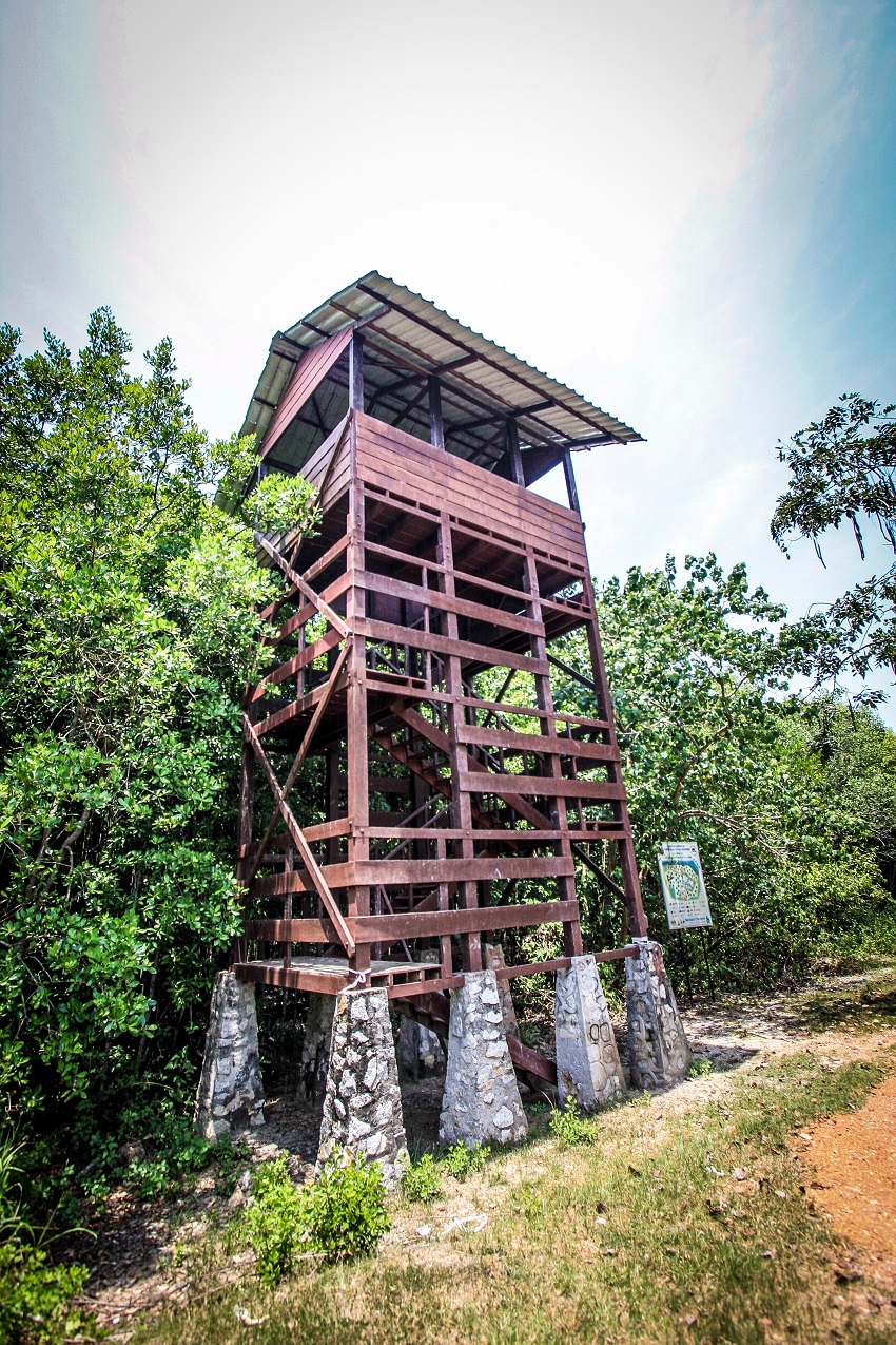 ta_15-mdks-official.jpg ta_15-mdks-official.jpg