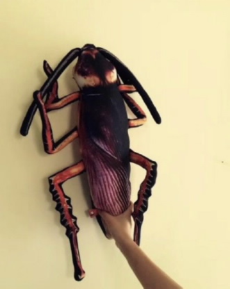 ev-(1).jpg ev-(1).jpg