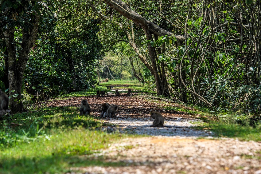 Nature-park-kuala-seangor-(mdks).jpg