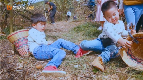 10968354186747825314.jpg 10968354186747825314.jpg