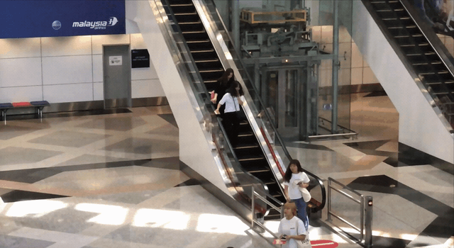 1532830886352.gif