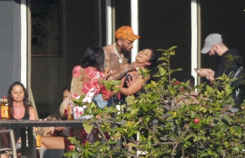 brown_04.jpg brown_04.jpg