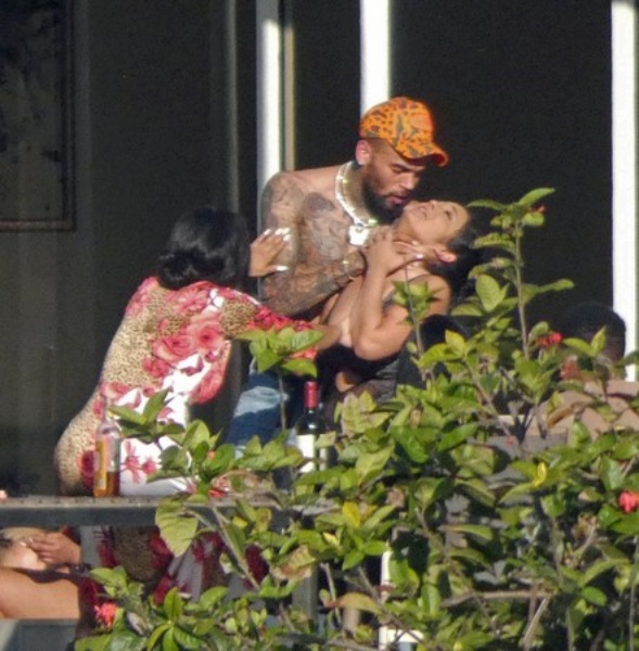 brown_05.jpg brown_05.jpg