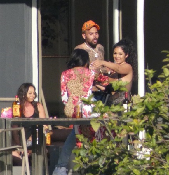 brown_03.jpg brown_03.jpg