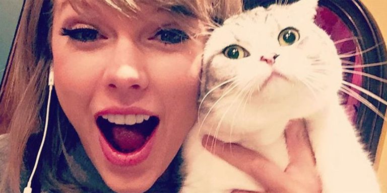 landscape-1472232800-taylor-swift-cat.jpg