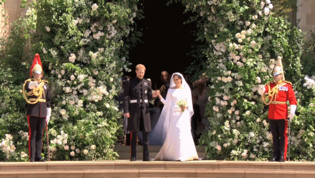 qVCY-haturfs8852715.gif qVCY-haturfs8852715.gif