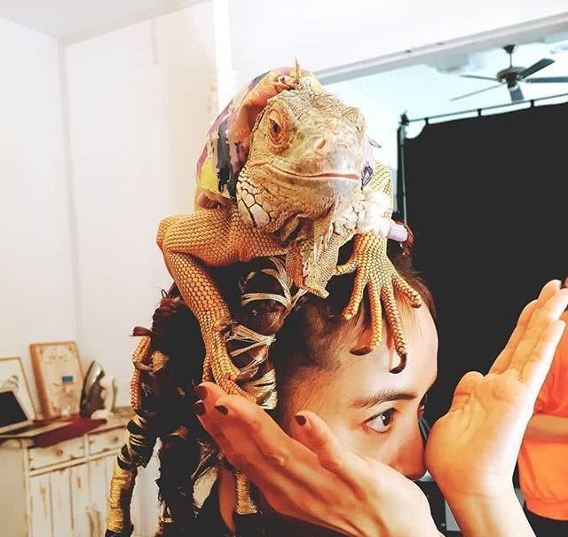 Jolin_02.jpg Jolin_02.jpg