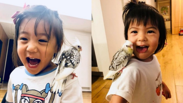 bird3-(1).png bird3-(1).png