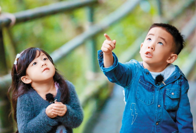 jasper_01.jpg jasper_01.jpg