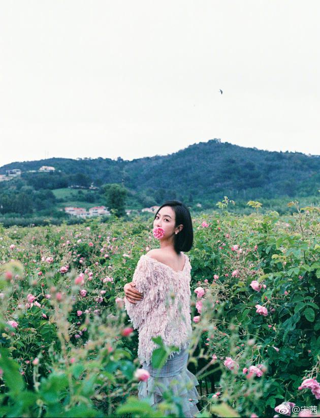 Qry-hmxrkzw8337934.jpg Qry-hmxrkzw8337934.jpg