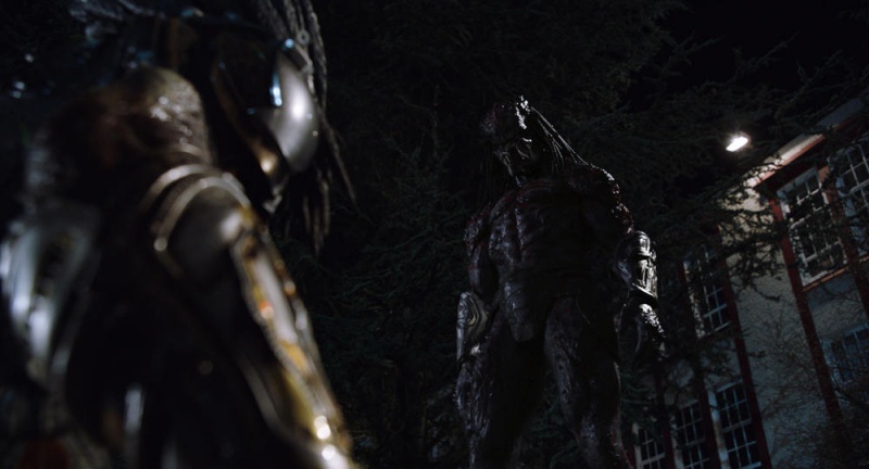 predator_07.jpg predator_07.jpg