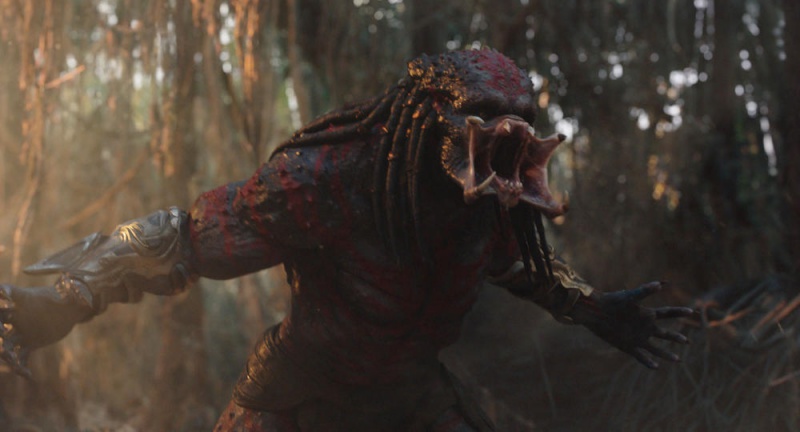 predator_08.jpg predator_08.jpg