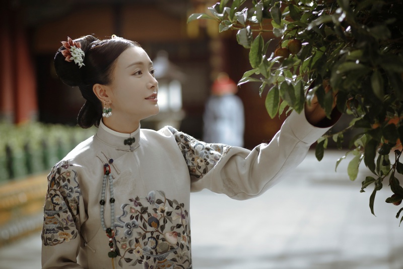 yanxi6.jpeg yanxi6.jpeg