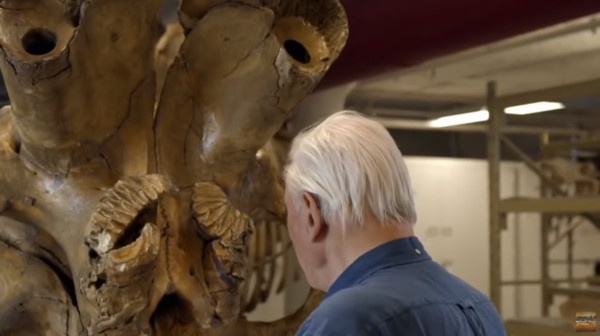 jumbo_03-(1).jpg jumbo_03-(1).jpg