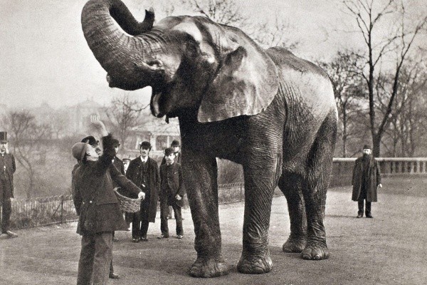 jumbo_04-(1).jpg jumbo_04-(1).jpg