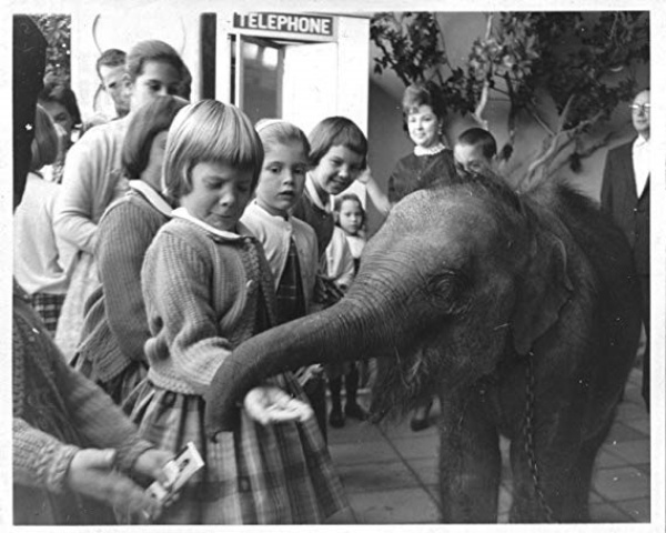 jumbo_06-(1).jpg jumbo_06-(1).jpg