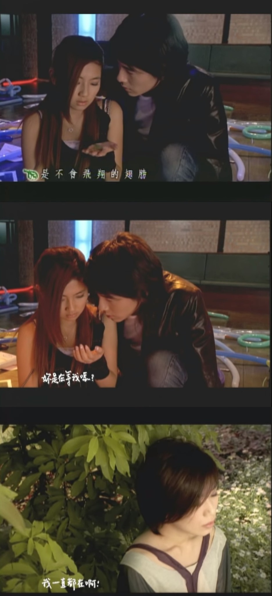 asang02.jpg asang02.jpg