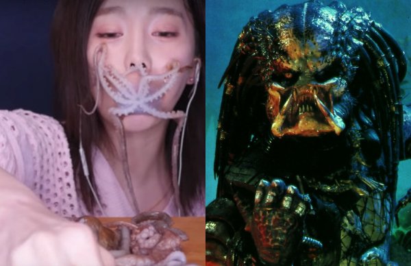 octopus_05.jpg