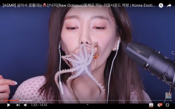octopus_04.jpg