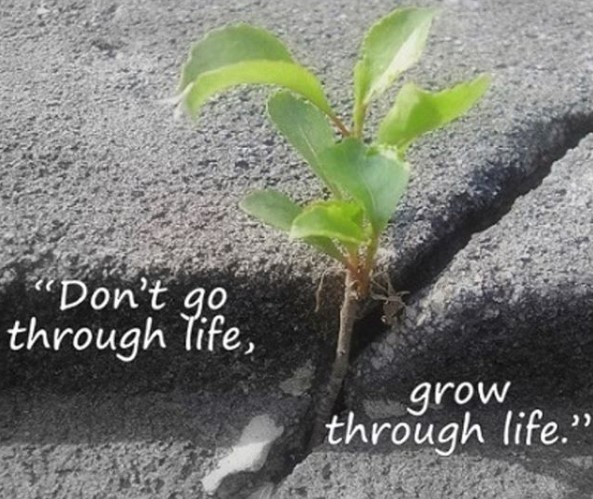 Screenshot_1.jpg Screenshot_1.jpg