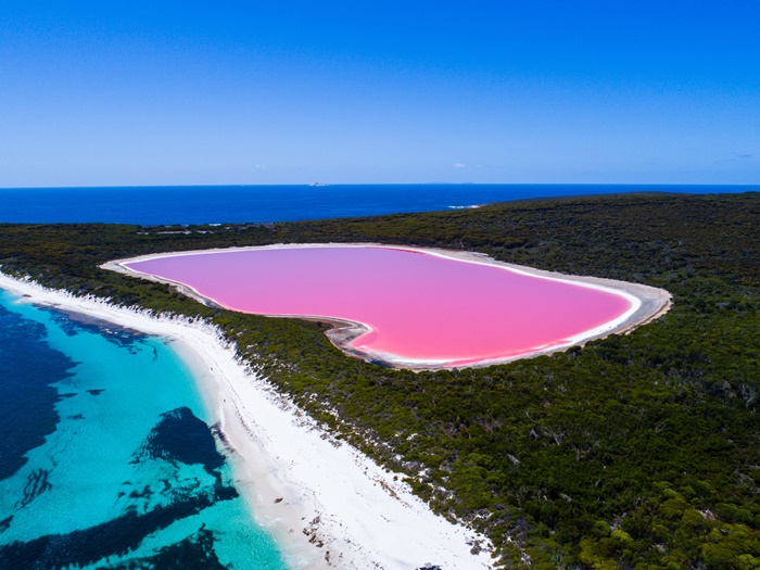 Lake-Hillier-1.jpg Lake-Hillier-1.jpg