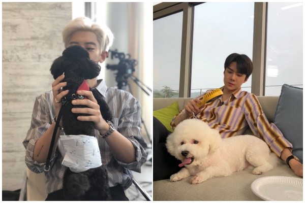 d4293726.jpg d4293726.jpg