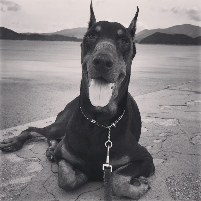 bkn-20190817123245897-0817_00862_001_02b.jpg bkn-20190817123245897-0817_00862_001_02b.jpg