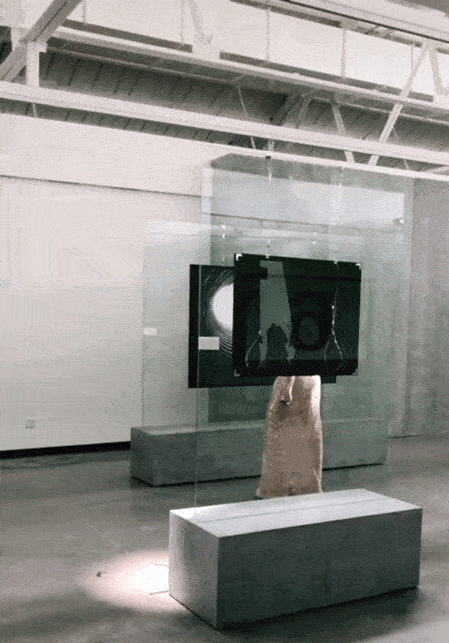 W020190822498678906531.gif W020190822498678906531.gif