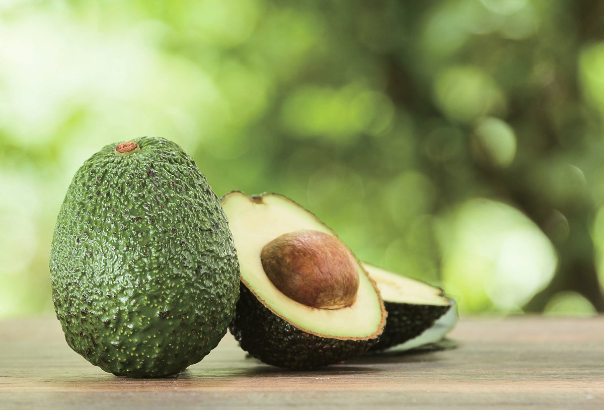 avo01.jpg avo01.jpg