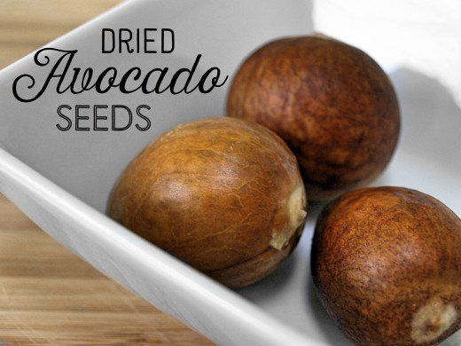 seed.jpg seed.jpg