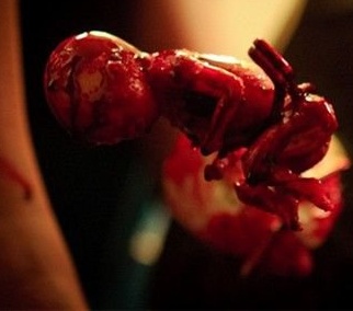 0K42D200_0.jpg 0K42D200_0.jpg