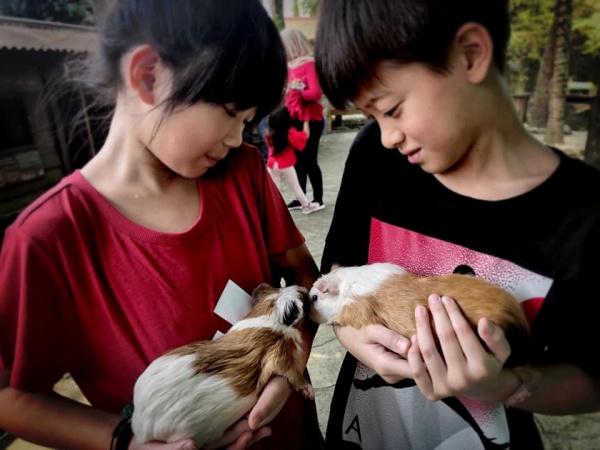 grace_03.jpg grace_03.jpg