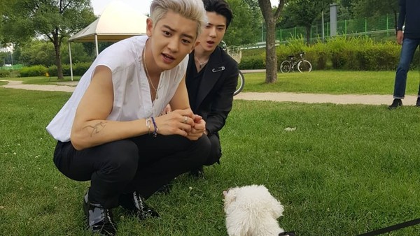 d4293724.jpg d4293724.jpg