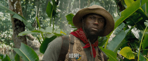 screen-recording-google-chrome-4-1575038904.gif