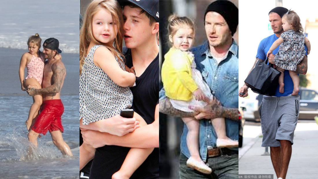 collage1.png collage1.png