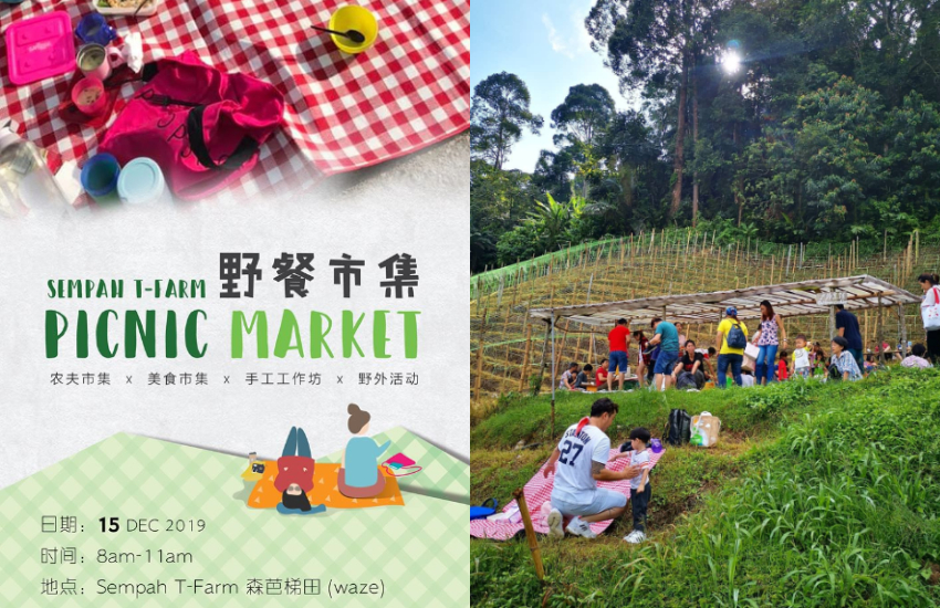 1210-Picnic-Market.jpg 1210-Picnic-Market.jpg