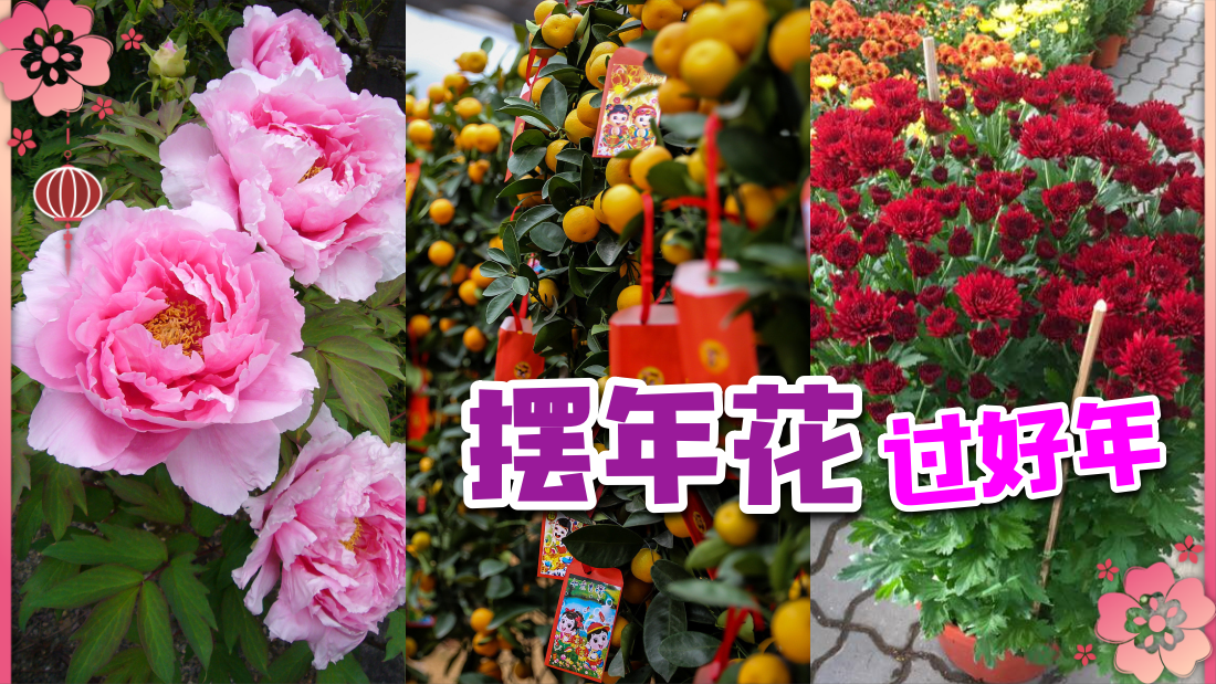 flower_banner.png