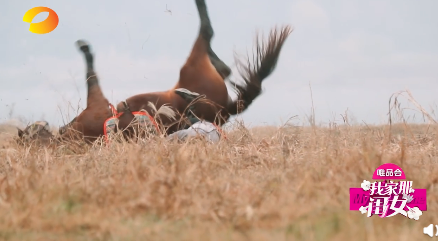 51231858_317454492215878_601303118021394432_n.png 51231858_317454492215878_601303118021394432_n.png