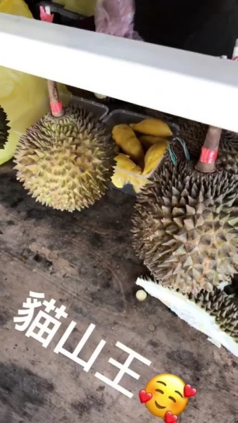 msia_06.jpg