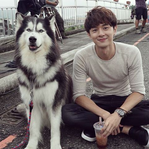 14478420-1071128193002044-5981360031243698176-n-1513602471.jpg 14478420-1071128193002044-5981360031243698176-n-1513602471.jpg