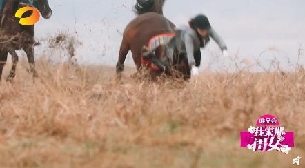 51206917_392390101536107_8029319640498831360_n.png 51206917_392390101536107_8029319640498831360_n.png